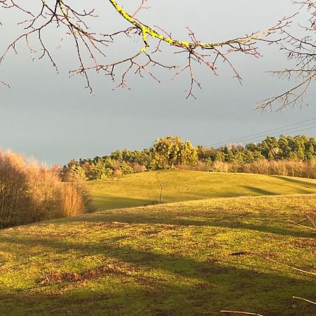 Kleine Backsteinloft Διαμέρισμα Templin Εξωτερικό φωτογραφία