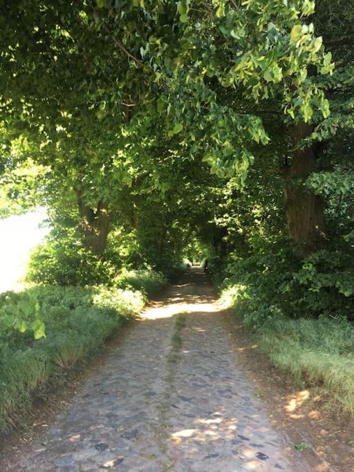 Kleine Backsteinloft Διαμέρισμα Templin Εξωτερικό φωτογραφία